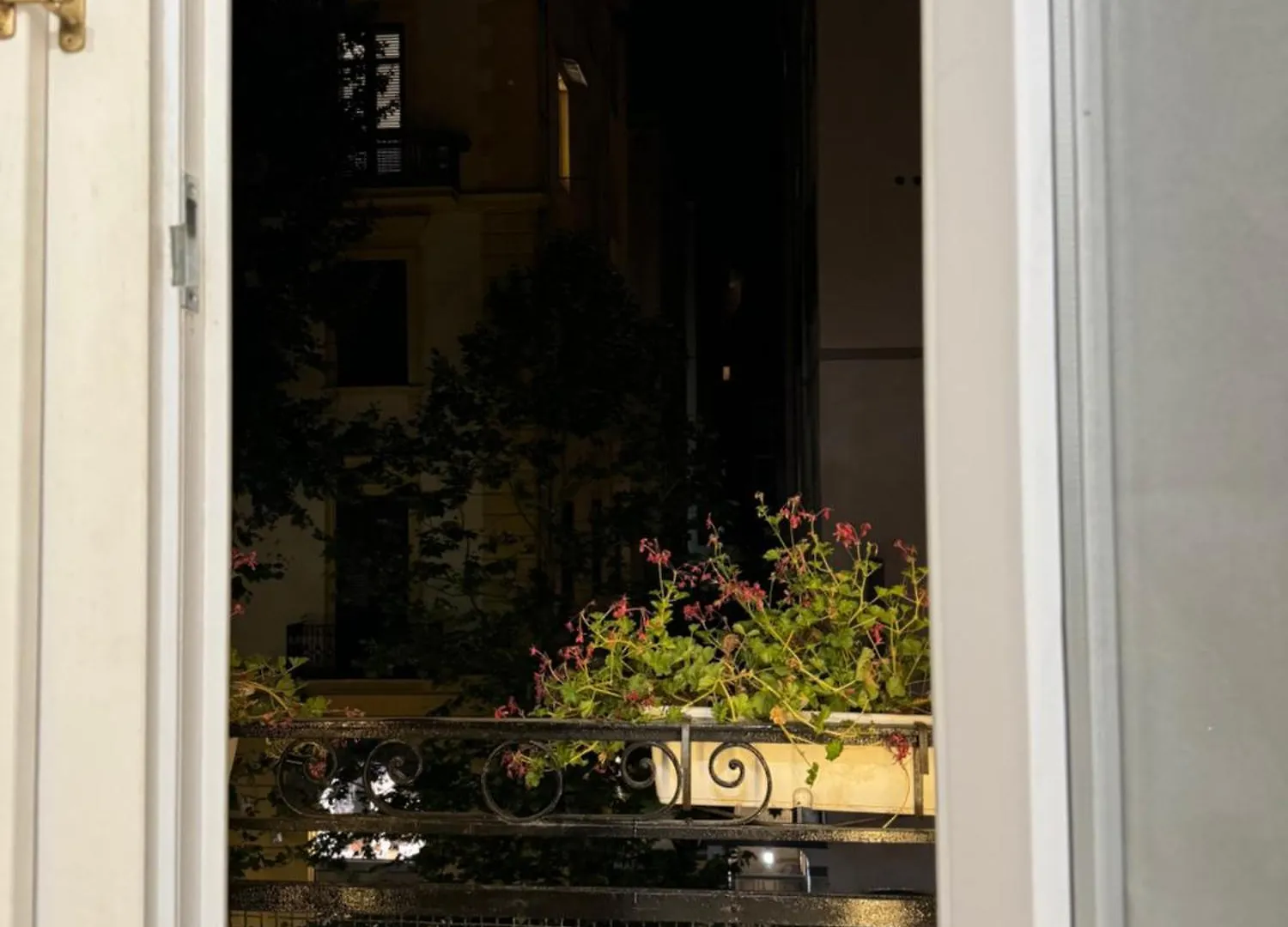 Bed & Breakfast Guest House Regina Carolina Naples